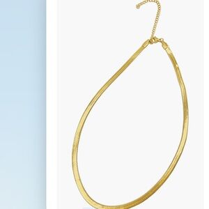 Adornia Snake Chain Necklace